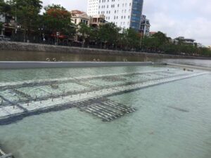 Waltzing Waters